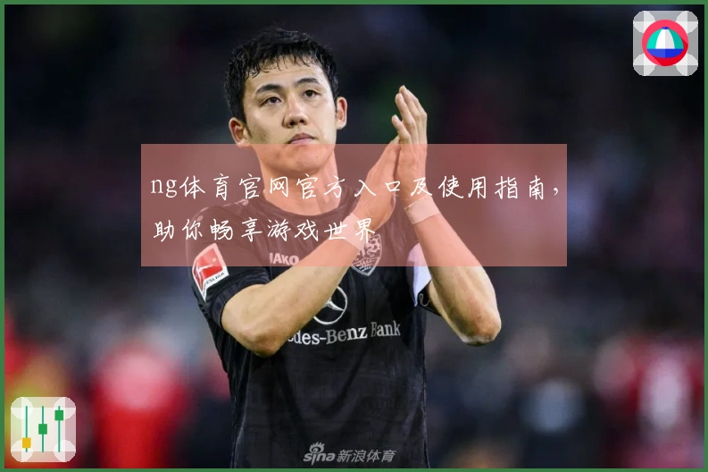 ng体育官网官方入口及使用指南，助你畅享游戏世界