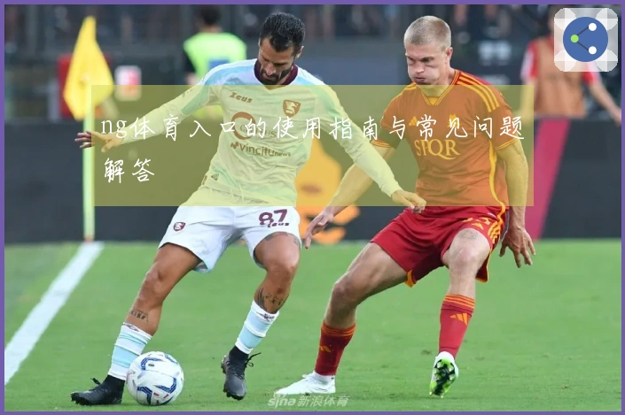 ng体育入口的使用指南与常见问题解答