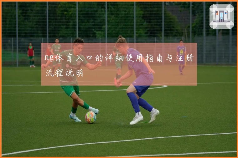 ng体育入口的详细使用指南与注册流程说明