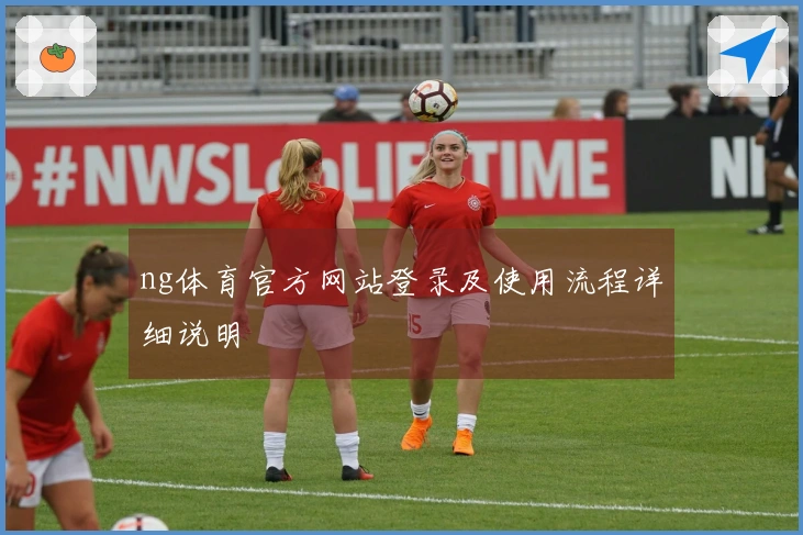ng体育官方网站登录及使用流程详细说明