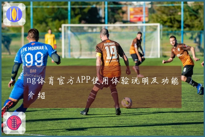 ng体育官方APP使用体验说明及功能介绍