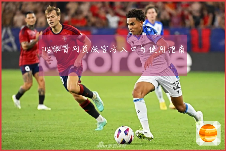 ng体育网页版官方入口与使用指南