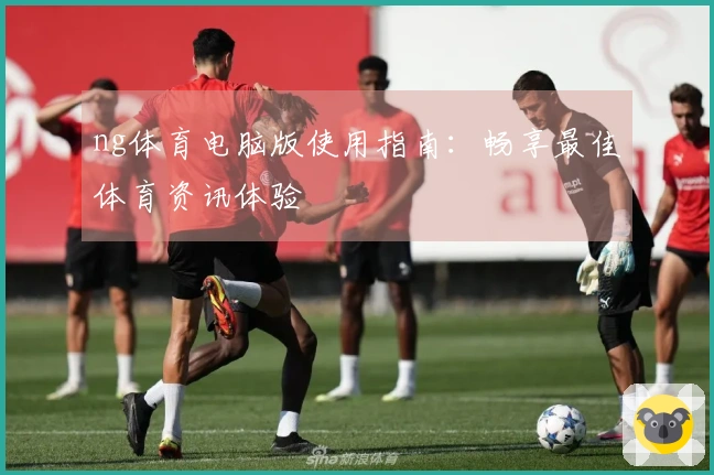 ng体育电脑版使用指南：畅享最佳体育资讯体验