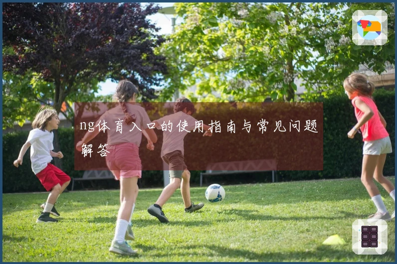 ng体育入口的使用指南与常见问题解答